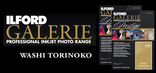 Ilford WASHI TORINOKO