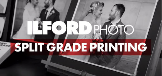 Split Grade Printing - ILFORD Darkroom Guides